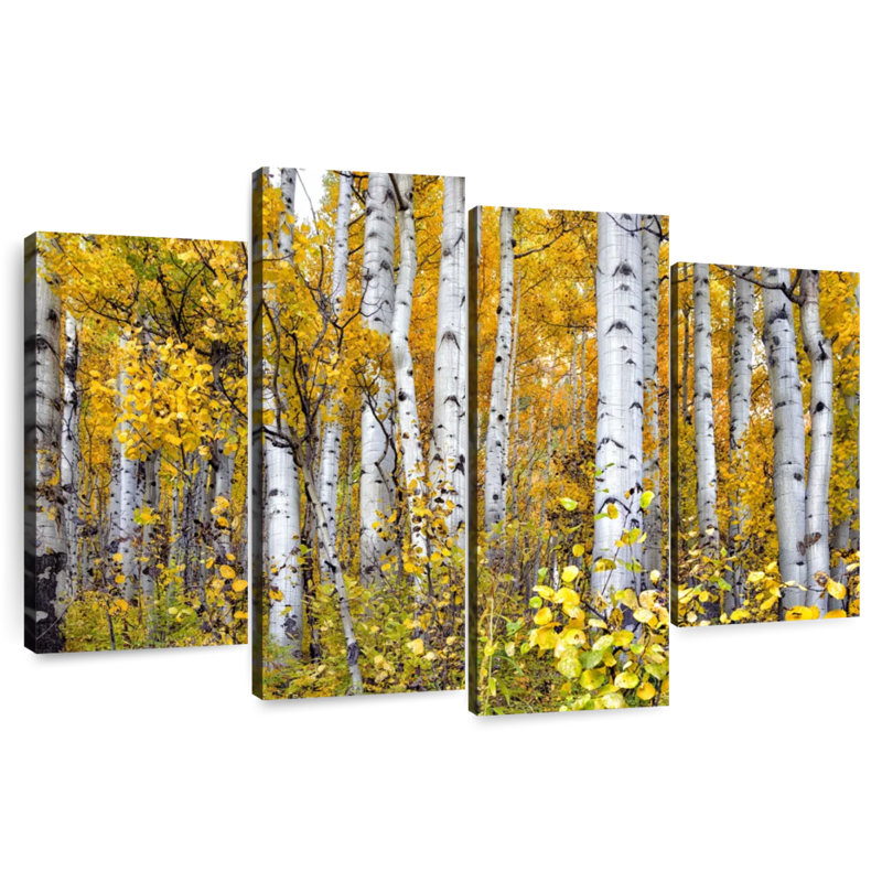 Alvord Yellow Woods IV, H 27 po x l 43 po