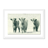 Cows Print by Pernille Westh