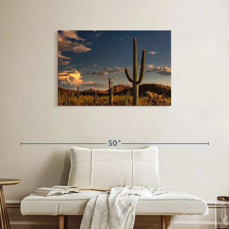 Cactus Harnek Tucson, H 24 po x l 36 po