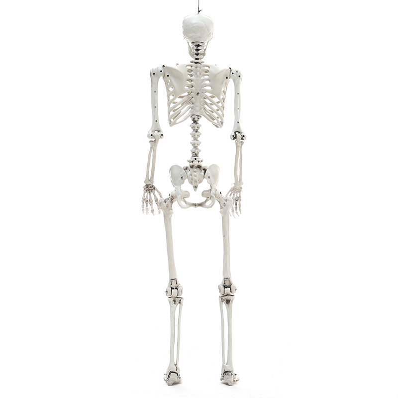 Halloween Figurines & Collectibles, 160cm