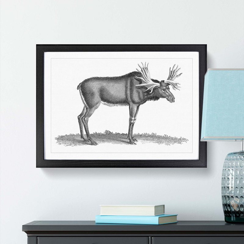 An Elk In Black And White by George Shaw - Single Picture Frame Print, Black Framed, 24cm H x 33cm W x 2cm D
