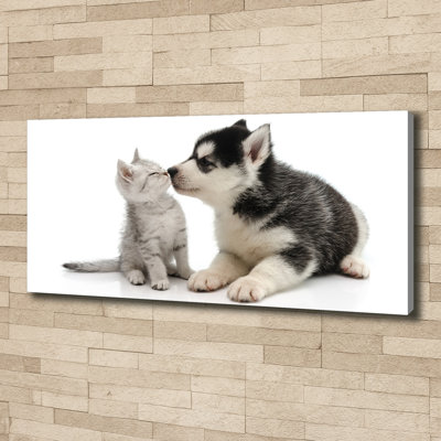 Dog And Cat - Wrapped Canvas Print