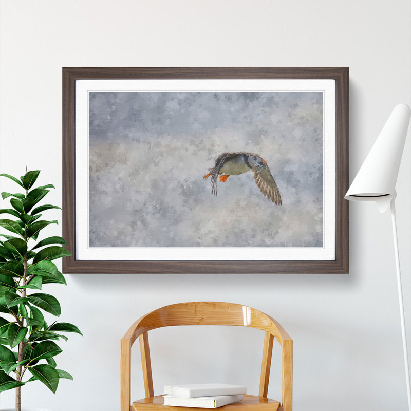 Atlantic Puffin Birds Vol.5 - Picture Frame Graphic Art, Walnut Framed, 36cm H x 48cm W x 2cm D