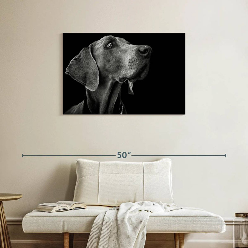Brampt Monochrome Dog, 24" H x 36" W