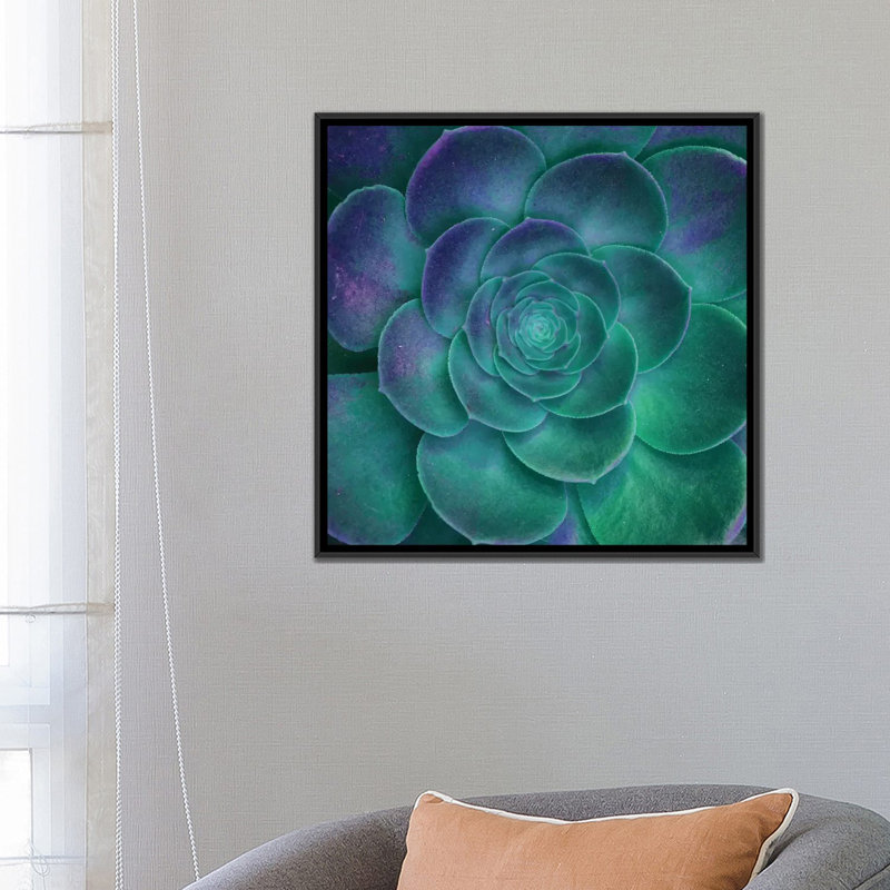 «Surréalisme II», impression sur toile, H 18 po x l 18 po x P 1,5 po, Toile avec cadre noir, Pas de tapis