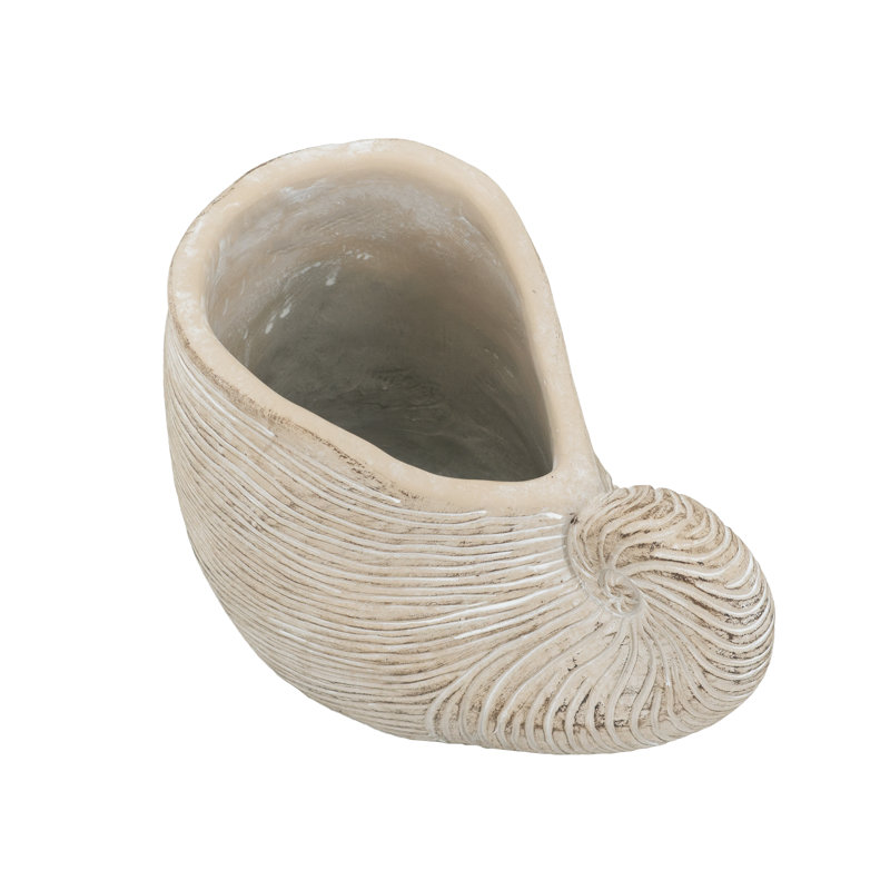 Sand And Cement Nautilus Shell Planter With Textured Beige Finish, 7.7" H x 11.4" W x 6.7" D