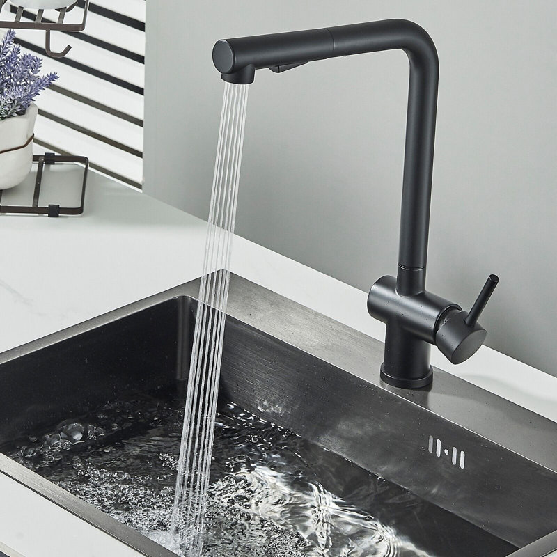 Belfry Kitchen Raposo Pull Out Kitchen Faucet