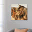 From The Garden by Lynnette Shelley - Wrapped Canvas Gallery-Wrapped Canvas Giclée