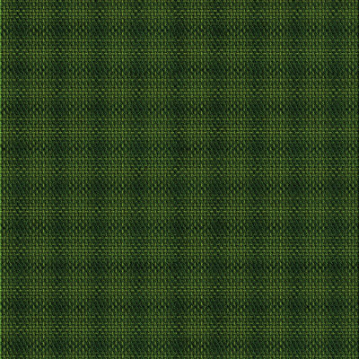 Indoor Rug