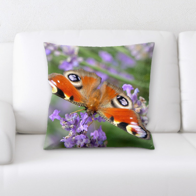 Coussin de papillon peacock