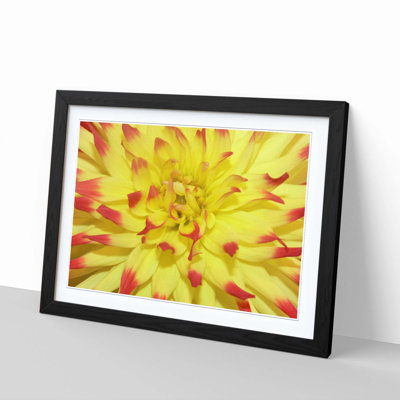 Single Picture Frame Print