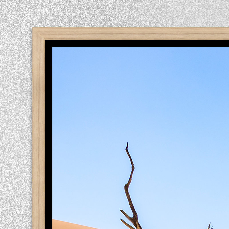 Namibian Skeleton Trees XI Print by Richard Silver, 31.75" H x 46.75" W, Image Brush Gel