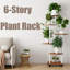 Plant Stand - Set of 6