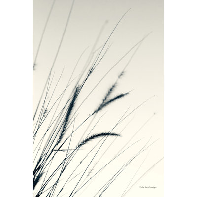 Herbes de champ I - impression