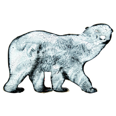 Aimant à ours polaire