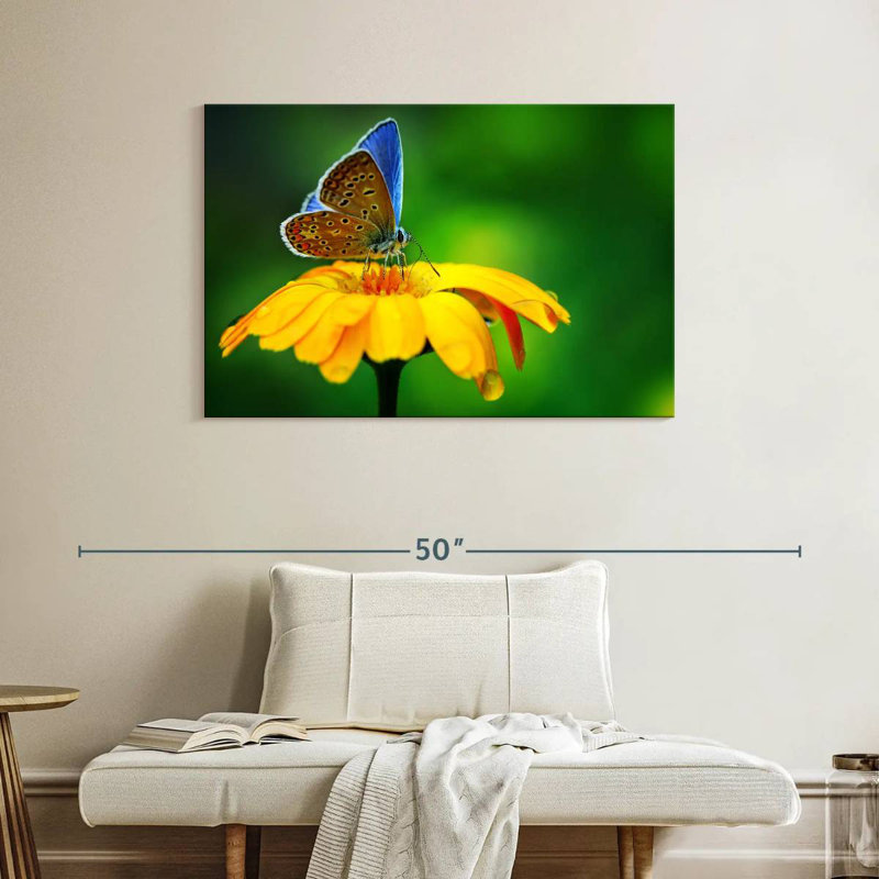 Splendeur papillon bleu Brampt, H 26 po x l 39 po