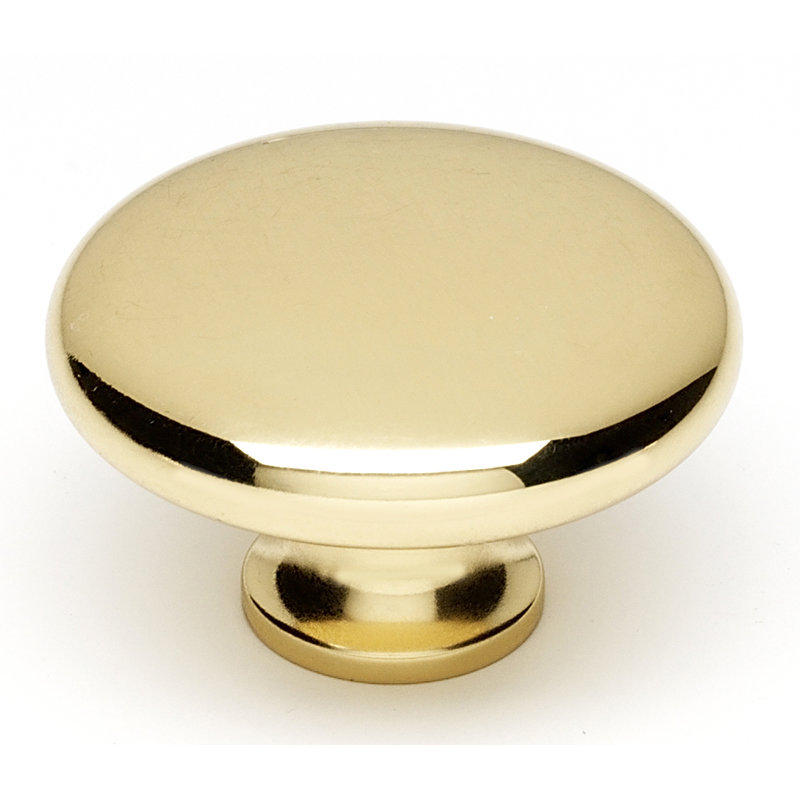 Polished Brass Traditional Rectangular Cabinet Knob with Mounting Hardware