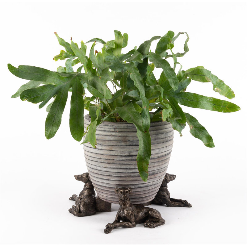 Mildred Weather Resistant Planter Feet