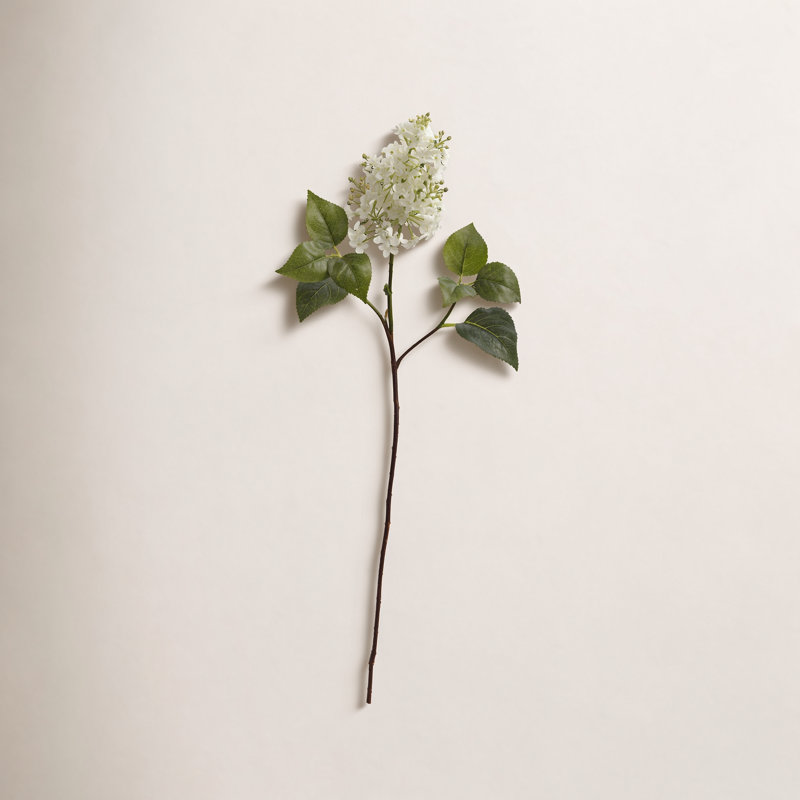 Tige de lilas Toscani, Blanc