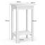 Aariyonna End Table-1043482526