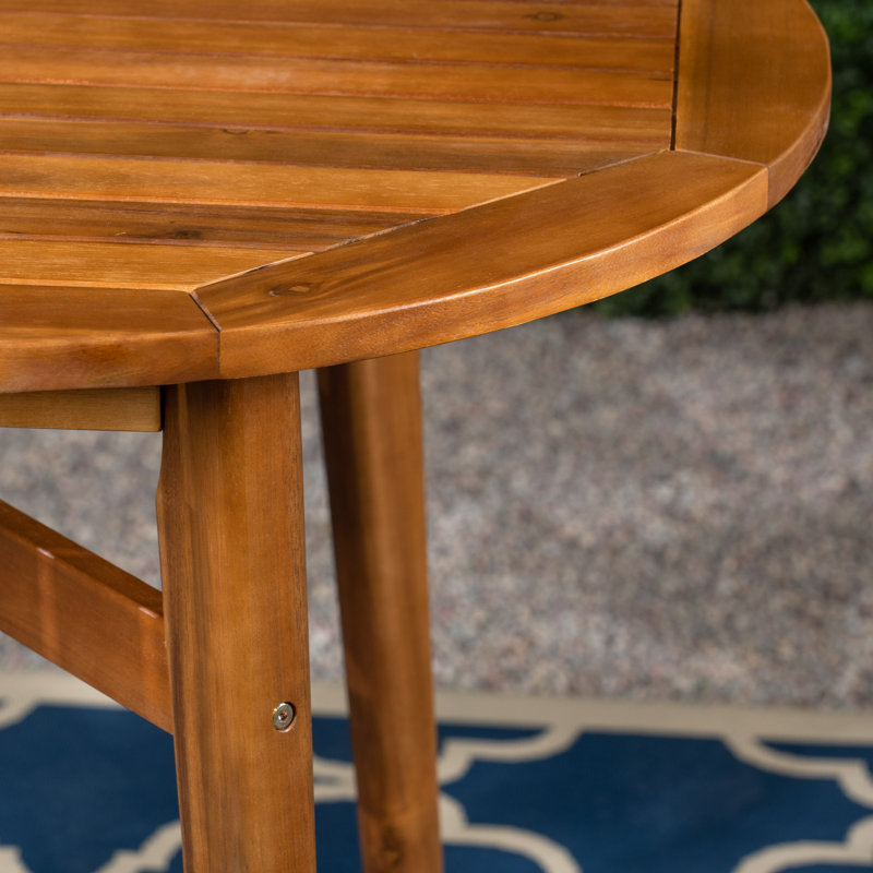 Carlleen 4 - Person Wood Patio Dining Set with Oval Table, Teak