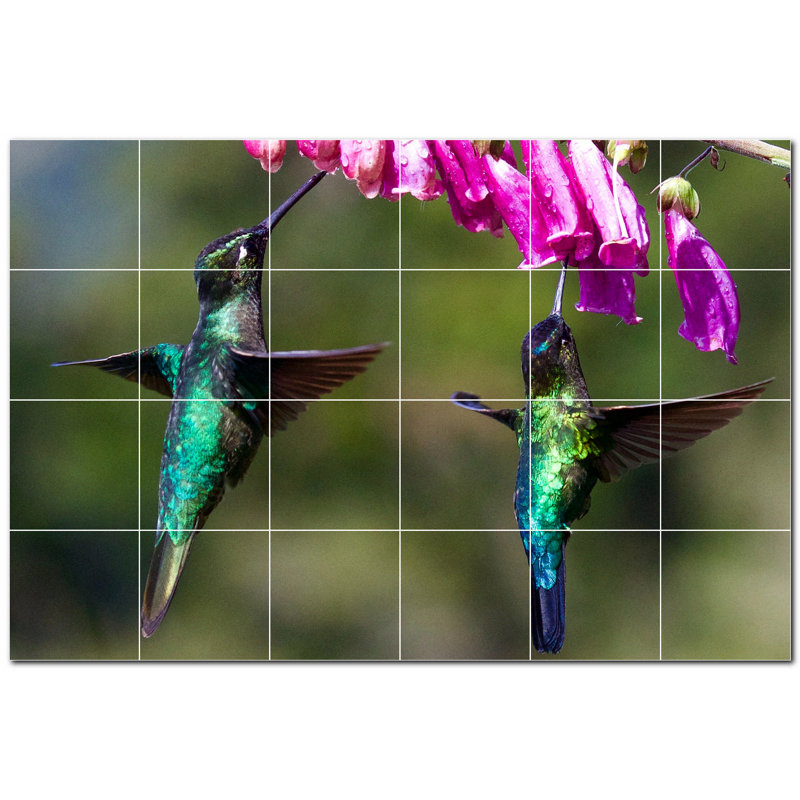 Photo d'oiseau 4,25 po x 4,25 po