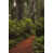 Black Floater Framed selected