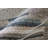 Lindauer Modern Abstract Ivory Area Rug-660681307