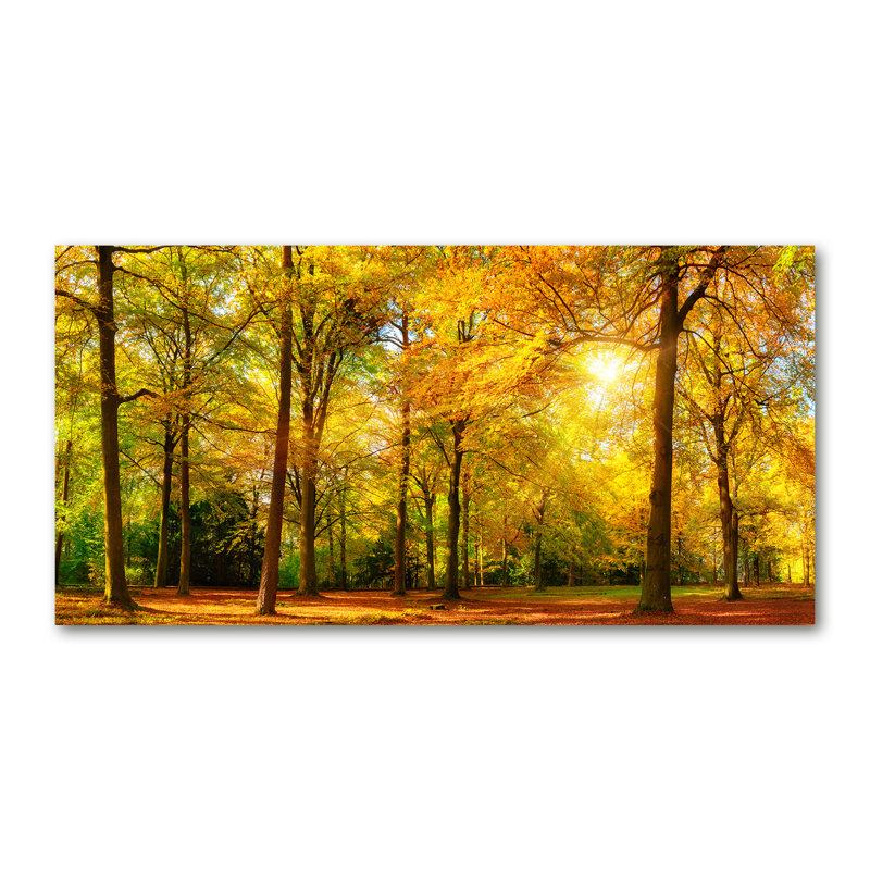 50cm W x 100cm L Glass Peel and Stick Panel