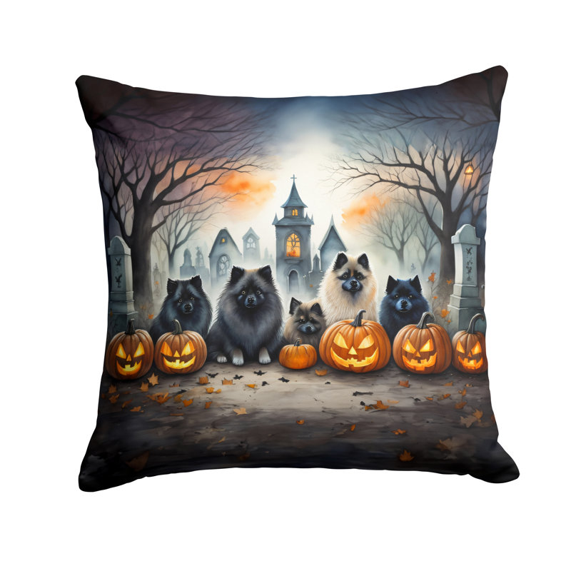  Coussin décoratif Autre / Sans motif, 14 po x 14 po