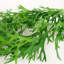 Plastic, Silk Artificial Arrangement