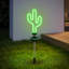 Éclairage solaire solaire Cactus