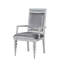 Ensemble de deux fauteuils de salle à manger en tissu platine