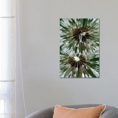 Star Forming Region In The Small Magellanic Cloud (NGC 602) by Gerry Ellis - Wrapped Canvas Print