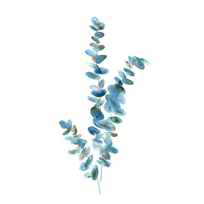 Barclay Butera " Eucalyptus Leaves I Giclee " by Barclay Butera