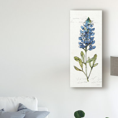 Texas Bluebonnet IV by Anne Tavoletti - Print on Canvas