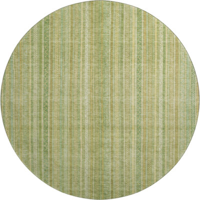 Premium Machine Washable Filiberto AMF1655 Stripes Rug