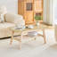 Table basse en bois massif avec rangement double couche, grande capacité pour les salons et les bureaux