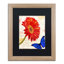 Jadaya «Gerbera Daisy», impression encadrée-20124575-70650514-20124573