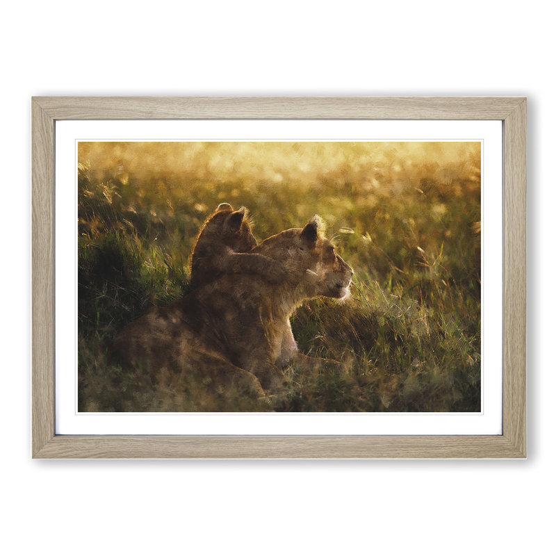 Lioness with Lion Cub - Framed Print, 27cm H x 36cm W x 2cm D, Oak Framed
