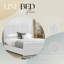 Ledley Kailua Upholstered Bed Frame - Plush Velvet with Headboard and Sprung Slats-228524503-228524485
