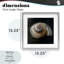 «Swirled Seashell Sea Treasure», reproduction encadrée sous verre, conception de Mary Sparrow-460834097-460834099