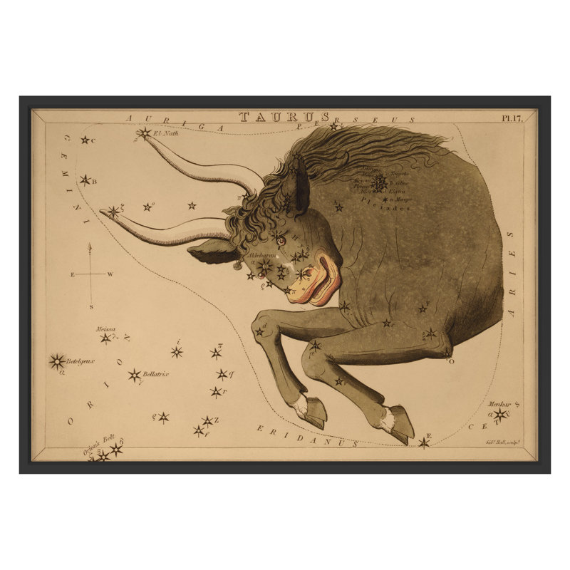 Taurus Print by Grand Archives, 32" H x 45" W, Black Framed