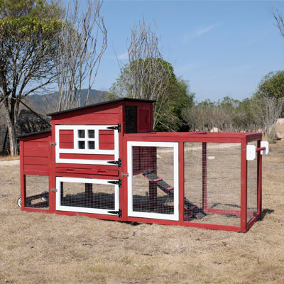 Grand poulailler pour 4 à 6 poulets avec enclos et nichoir Grande poule en bois avec toit imperméable, rouge