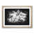 Oak Framed selected