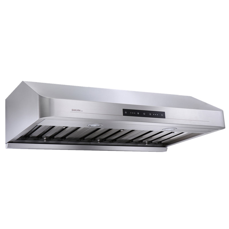 Hotte sous un meuble à conduit 36 pouces 1100 CFM en acier inoxydable