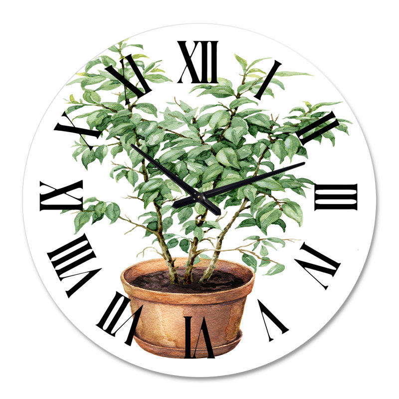 Ficus benjamina dans un pot de fleurs en argile - horloge murale traditionnelle, Surdimensionné