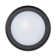 Ferrera Outdoor Bulkhead Light