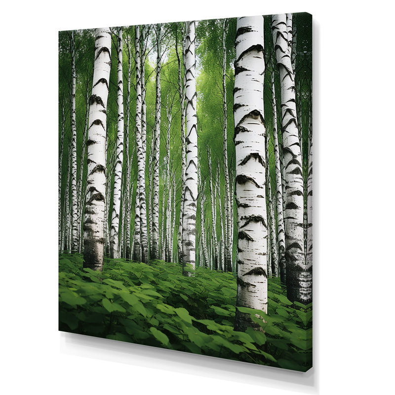 «White Green Birch Tree Whispers I», art mural sur toile paysage et nature, H 20 po x l 12 po x P 1 po, Toile tendue