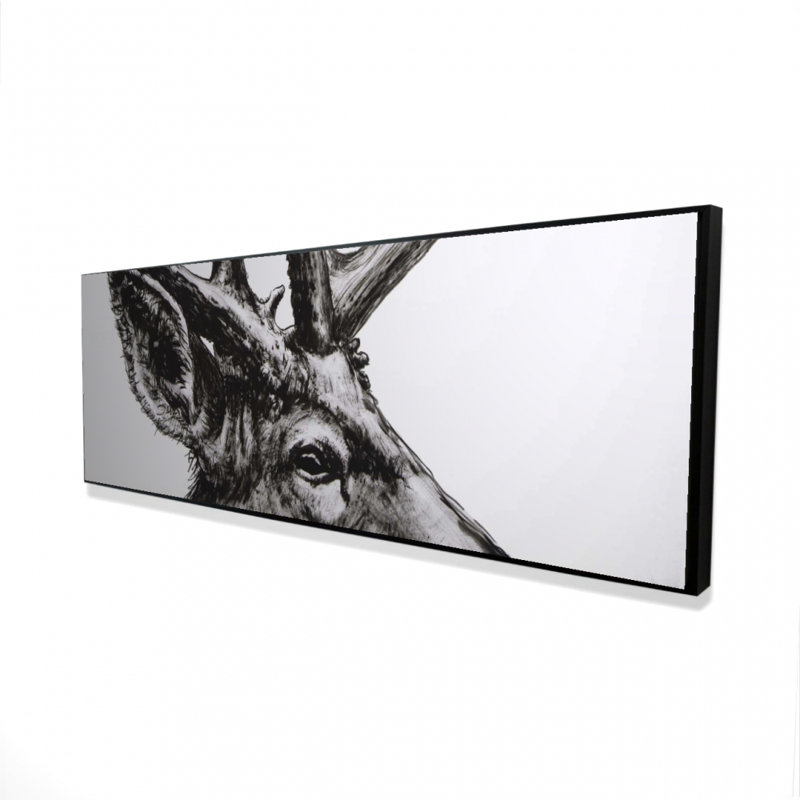 " Roe Deer Plume "